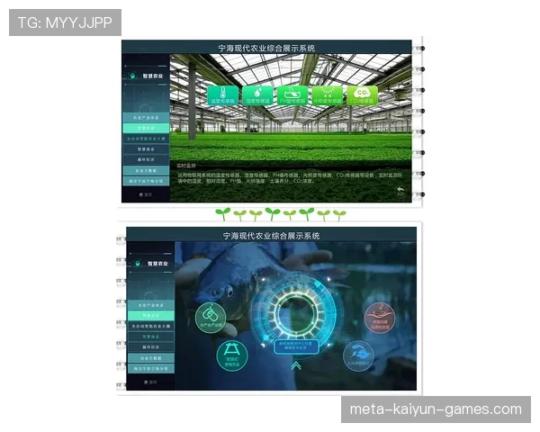 博卡战术设计需引入现代数据分析辅助，博卡博克